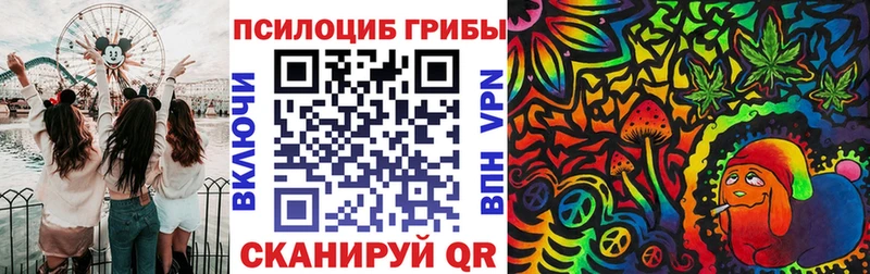 где купить наркотик  Волжский  Псилоцибиновые грибы ЛСД 
